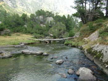 CIMG0484.jpg