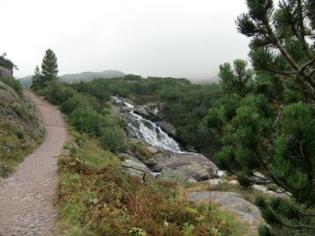 CIMG0491.jpg