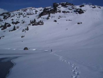IMGP1100.jpg