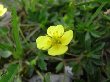 RIMG0011-Kopie.jpg