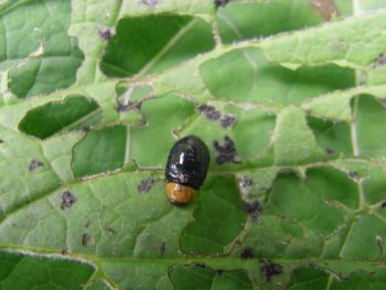 RIMG0012-Kopie.jpg