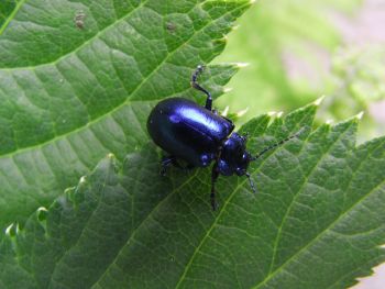 RIMG0027-Kopie.jpg