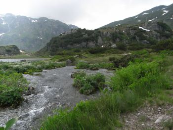 RIMG0060-Kopie-Kopie.jpg